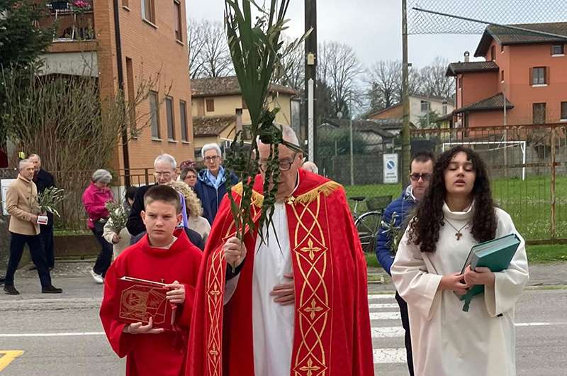 palme muscoli 2026