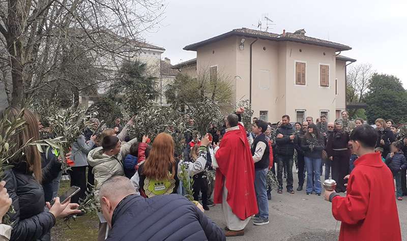 palme terzo 2026 02