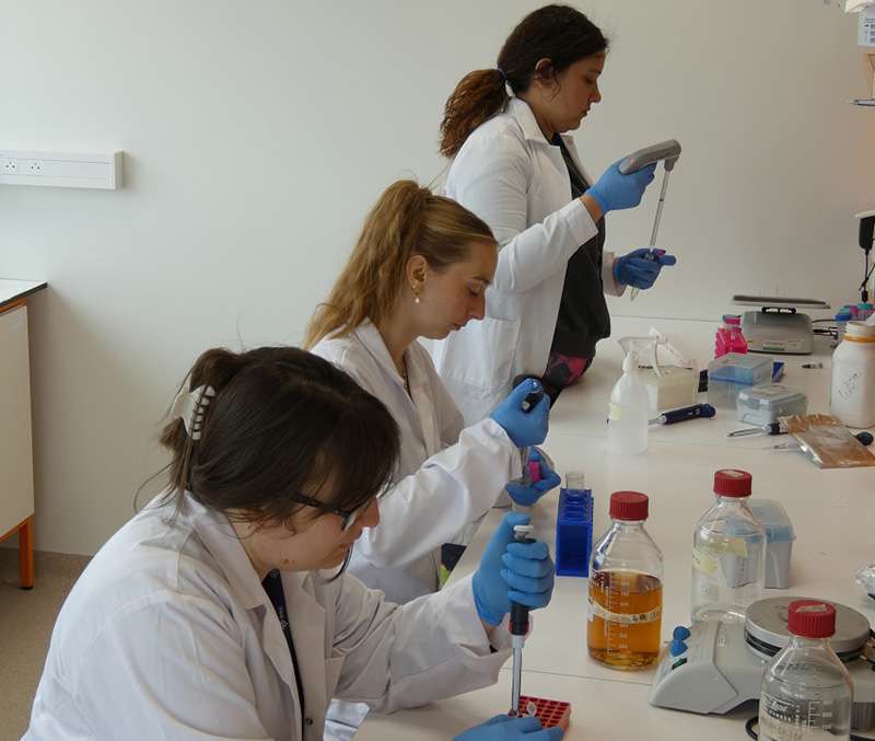 Ricercatrici del progetto al lavoro in laboratorio