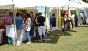 Stand Oleis 1