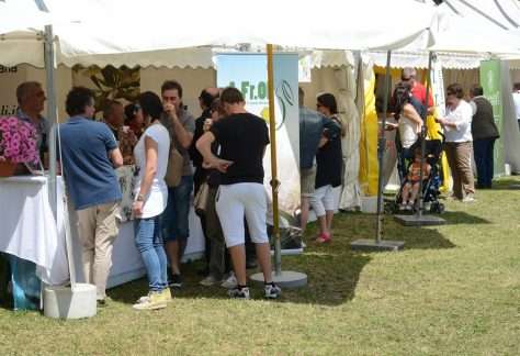 Stand Oleis 1