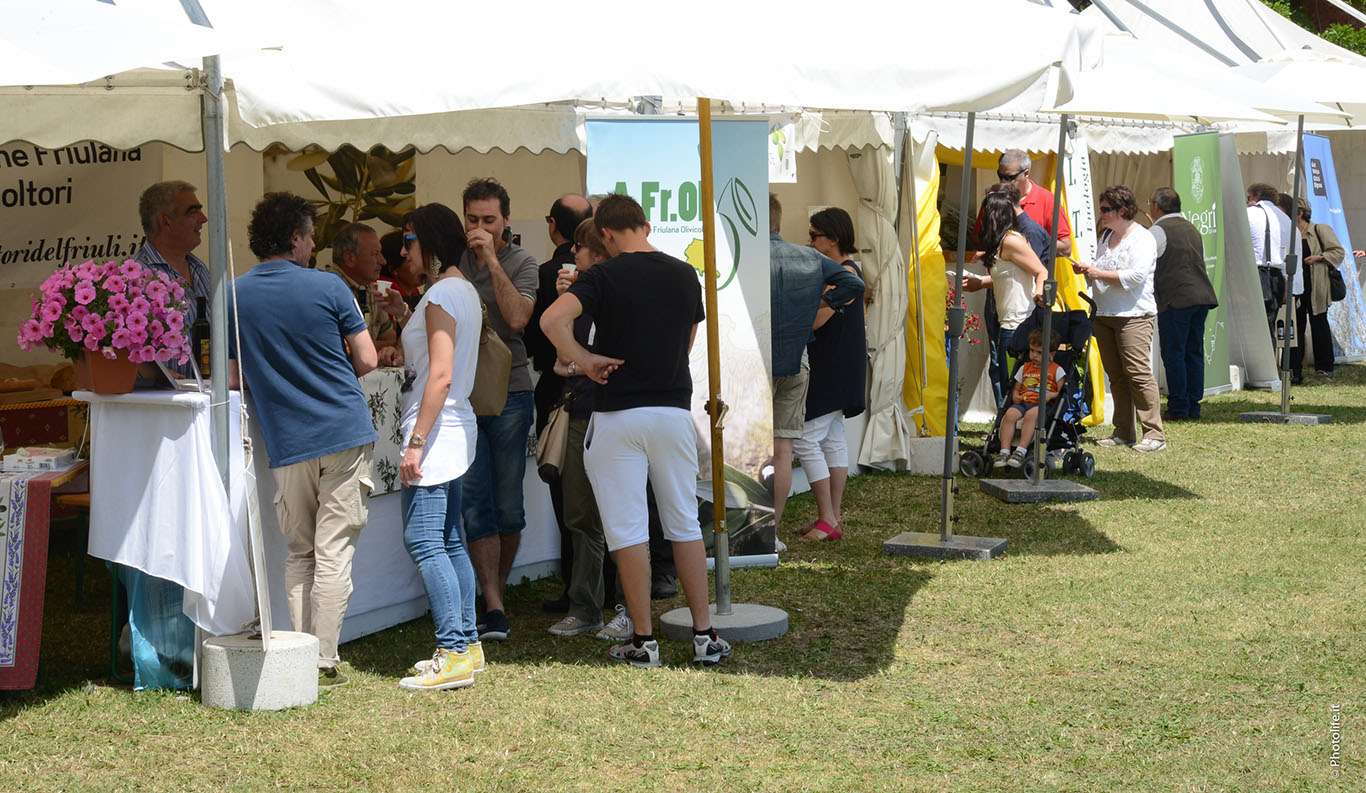 Olio e dintorni 7 Stand Oleis 1