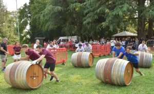 palio botti daniele modesto