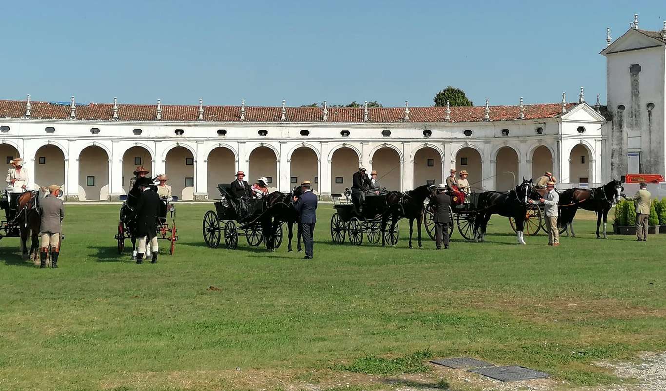concorsocarrozze2025 2