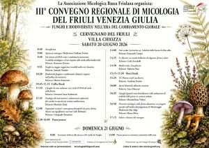 convegno micologia