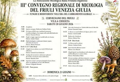 convegno micologia
