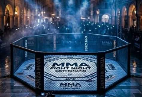 Mixed Martial Arts 2026