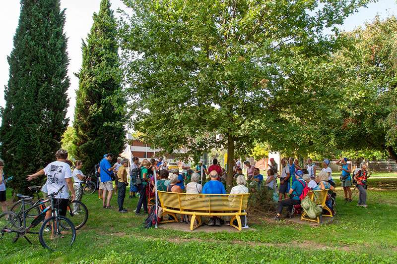 PeaceWalk Panchine gialle 29.08