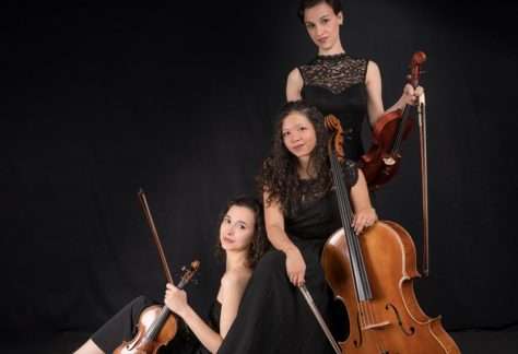 Trio Plavens