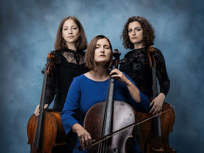 VIOLONCELLI ITINERANTI 2026