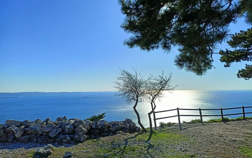 FOTO NAPOLEONICA E GOLFO TS STAFF ECOTHEMA