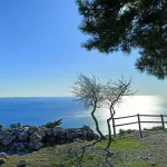 FOTO NAPOLEONICA E GOLFO TS STAFF ECOTHEMA