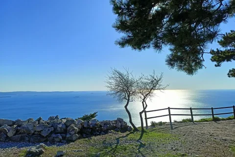 FOTO NAPOLEONICA E GOLFO TS STAFF ECOTHEMA