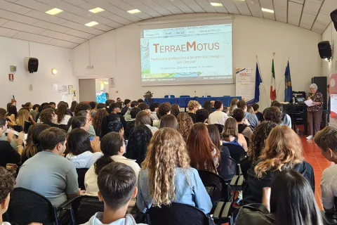 TM platea