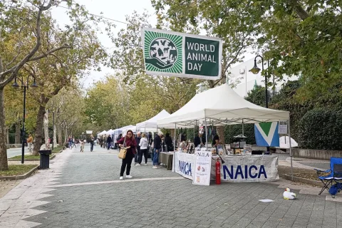 giornata mondiale animali