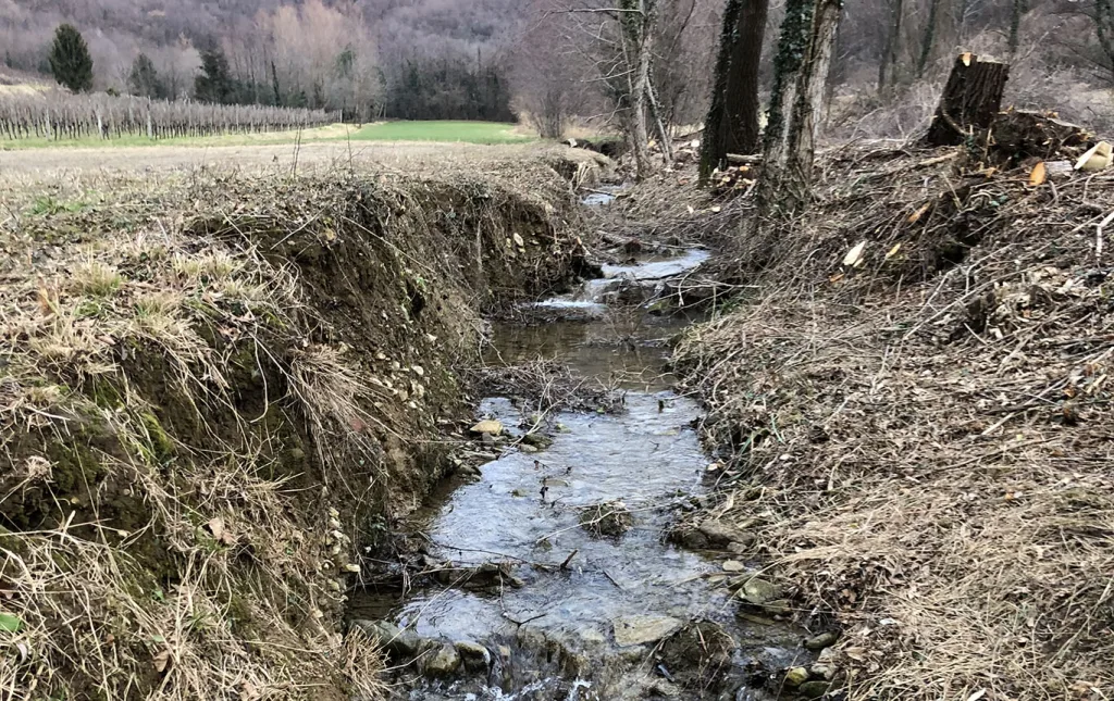 CORSI DACQUA Immagine