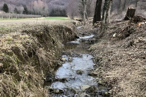 CORSI DACQUA Immagine