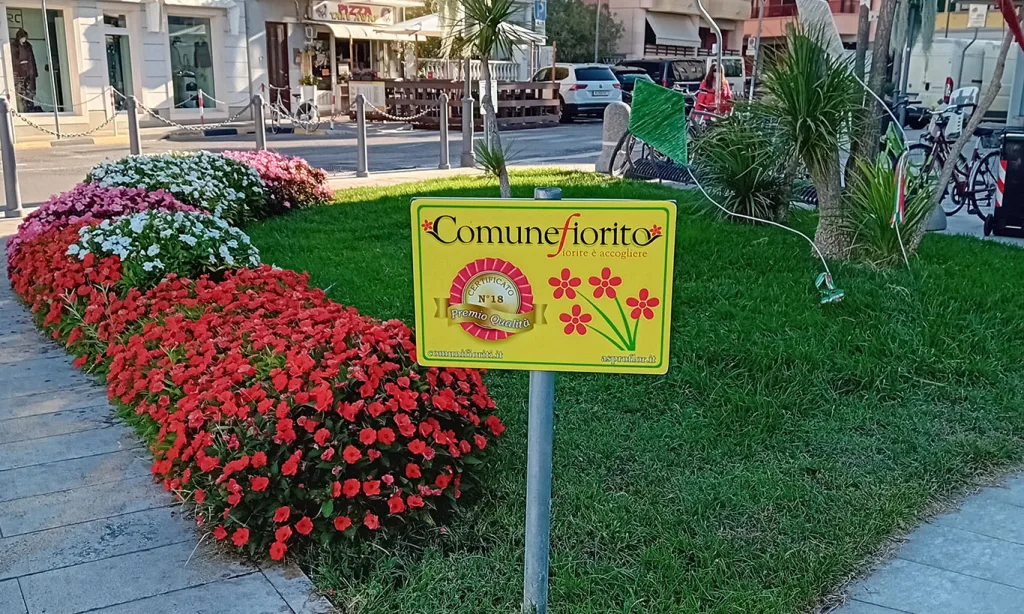 Grado Comune Fiorito 2026 1