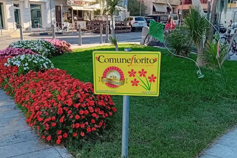 Grado Comune Fiorito 2026 1