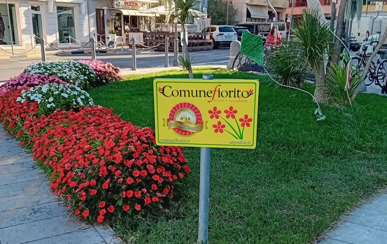 Grado Comune Fiorito 2026 1