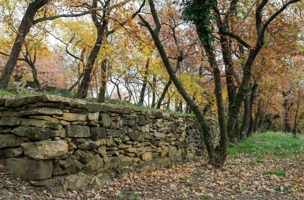 Querciambiente4