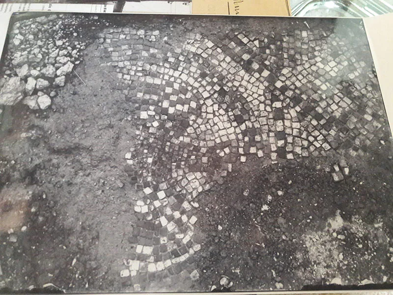 Mosaico franco-carolingio in degrado: l’appello di Cervignano 2 dettaglio mosaico