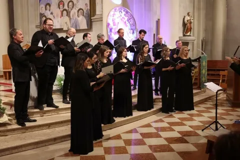 guillou consort 3