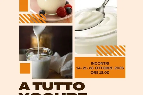 yogurt